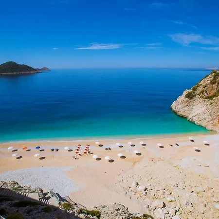 Apartament Paradise 5 *